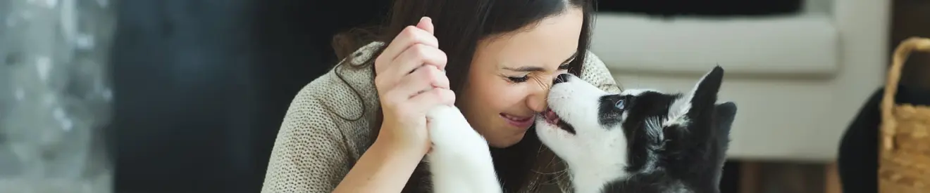 Una mujer junta su cara con el hocico de un cachorro de husky que le da un lametón mientras le sujeta las patas delanteras.