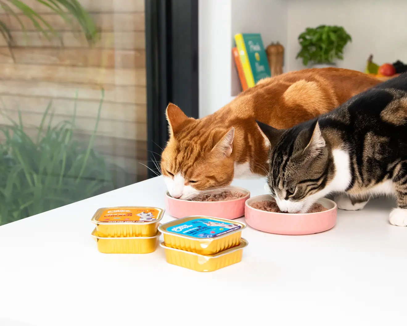 Dos gatos comen de sendos cuencos rosas sobre una mesa blanca, con dos tarrinas de Edgard & Cooper delante.