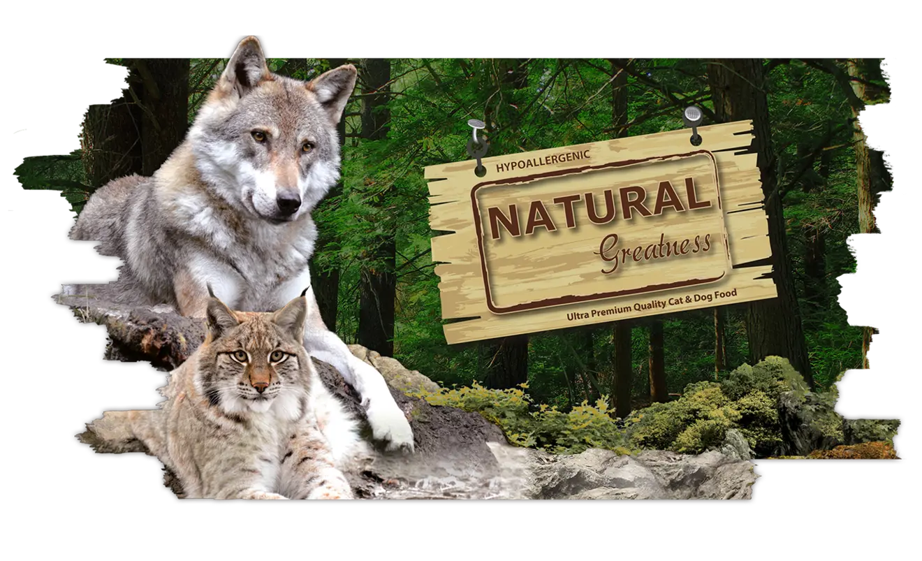 Un lobo tumbado sobre una roca y un lince ibérico en un bosque de coníferas, junto a un cartel de madera con el logotipo de Natural Greatness.