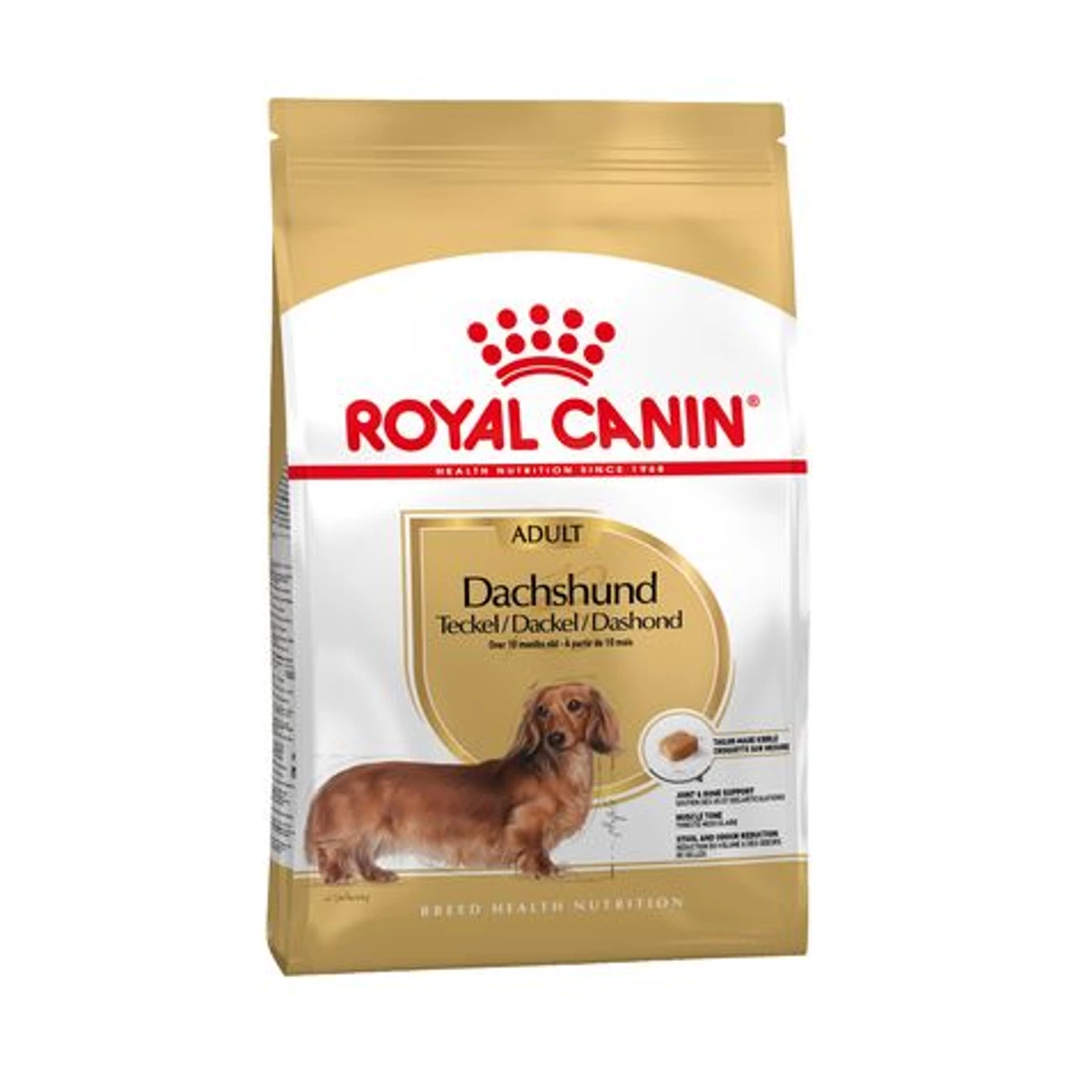 Royal Breed Dachshund Teckel, 1,5 kg