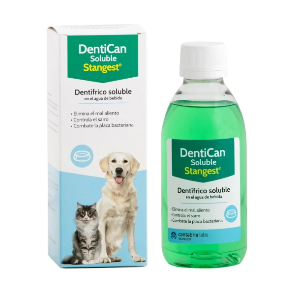 [01312003] Dentican Dentifrico Soluble 250ml·