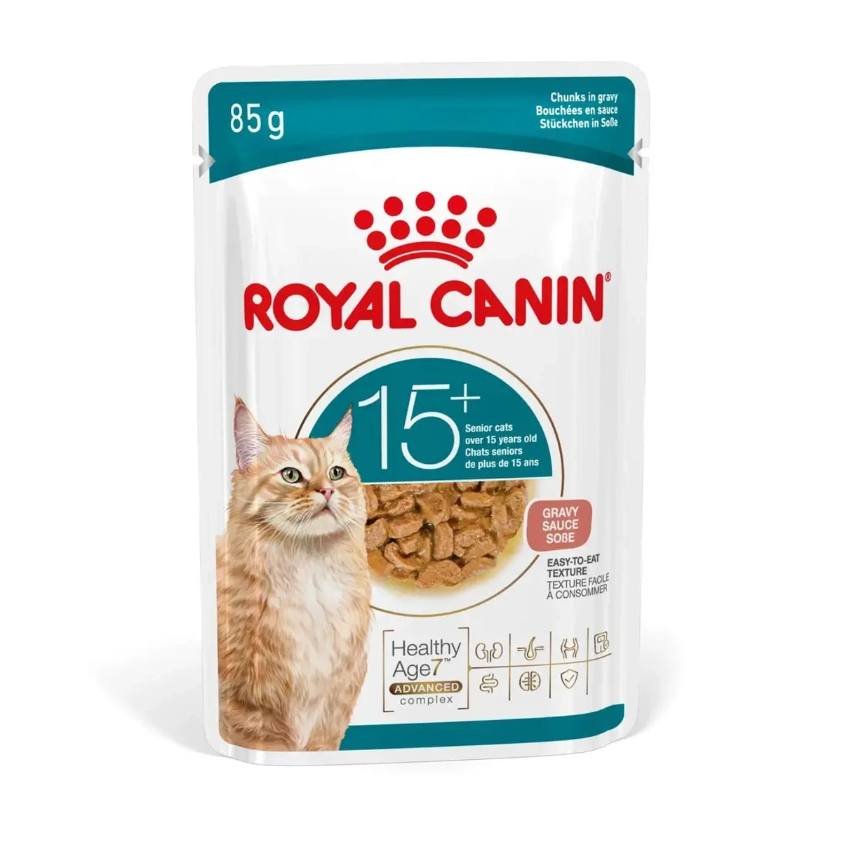 [00701341] Feline Ageing +15 (salsa) (12) 85gr